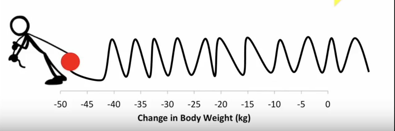 change in body weight graph